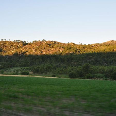 Villa Pinheirinhos - Quinta De Sao Caetano Carapito Esterno foto