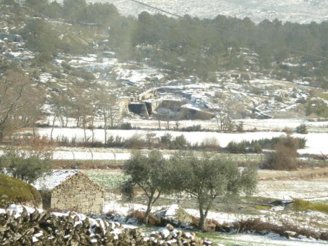 Villa Pinheirinhos - Quinta De Sao Caetano Carapito Esterno foto