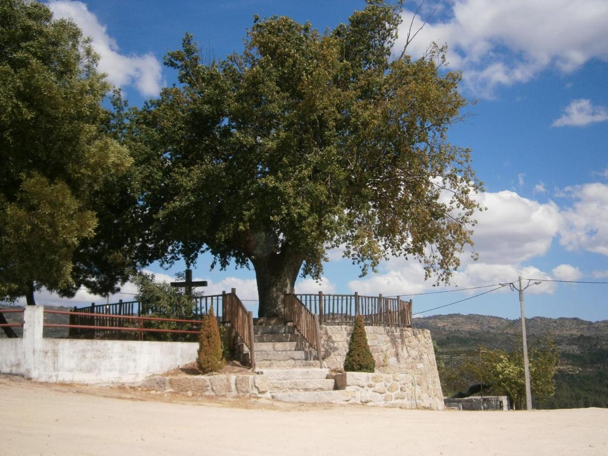 Villa Pinheirinhos - Quinta De Sao Caetano Carapito Esterno foto