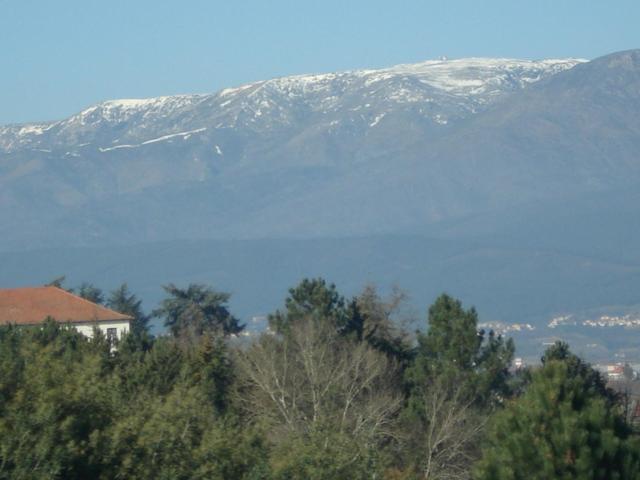 Villa Pinheirinhos - Quinta De Sao Caetano Carapito Esterno foto