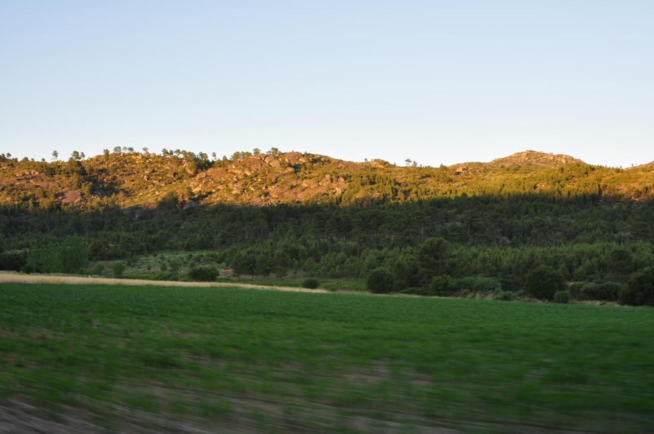 Villa Pinheirinhos - Quinta De Sao Caetano Carapito Esterno foto