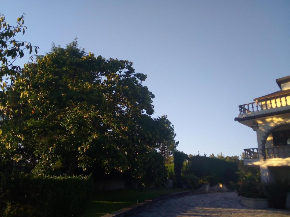 Villa Pinheirinhos - Quinta De Sao Caetano Carapito Esterno foto