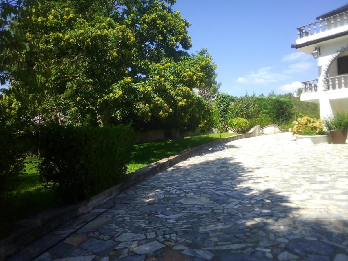 Villa Pinheirinhos - Quinta De Sao Caetano Carapito Esterno foto